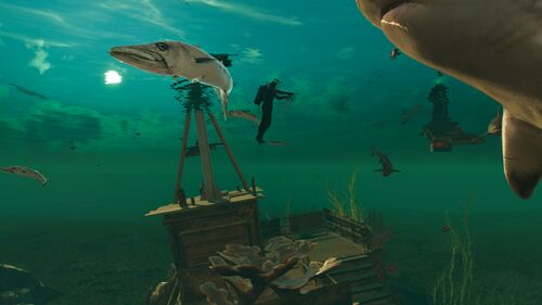 Wasserwelten BarracudasUndHaie.jpg