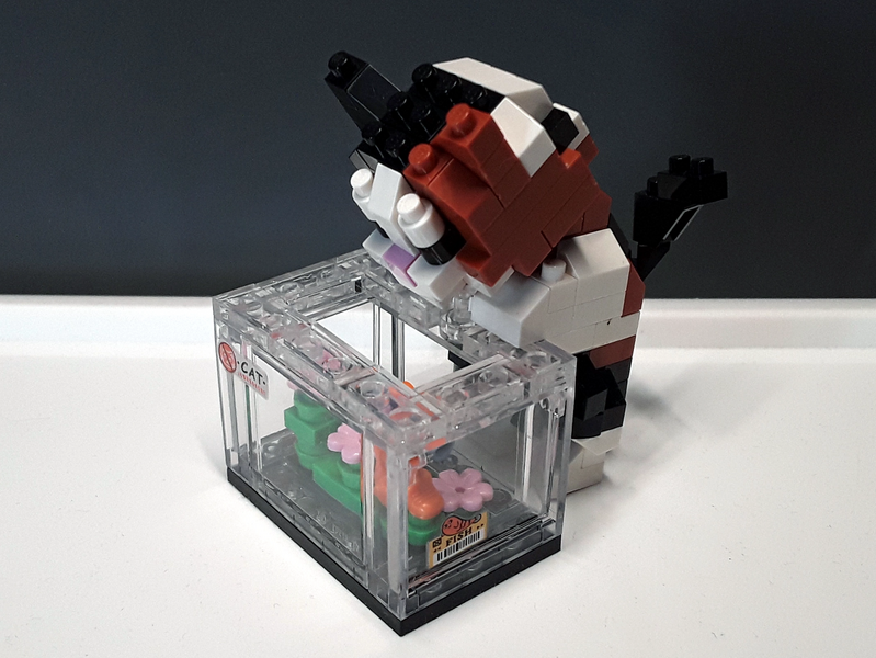 Datei:LOZ 8608 Katze am Aquarium (1).webp