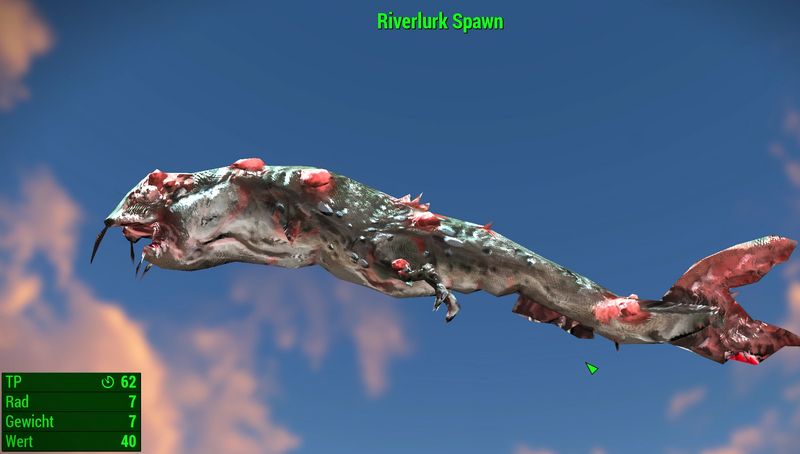 Datei:Fallout 4 MM Fischarten PL Riverlurk Spawn.webp