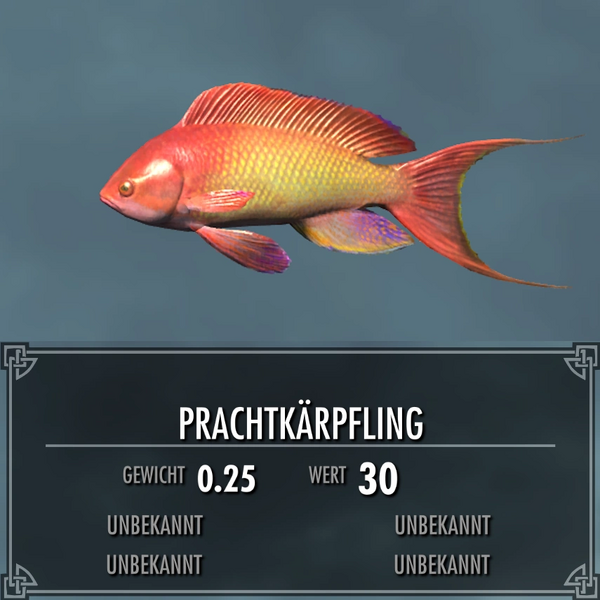 Datei:Skyrim SSE Angeln Prachtkärpfling.webp