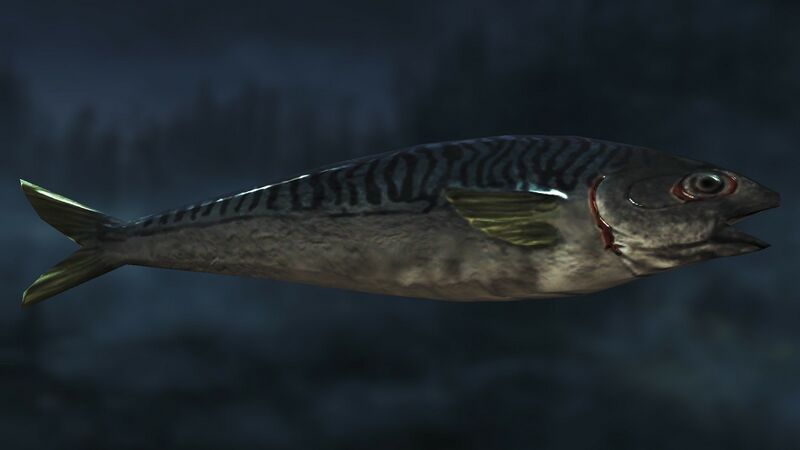 Datei:Item Raw Mackerel.jpg