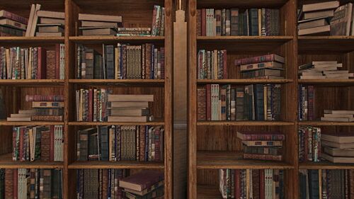 Bücherregal.jpg