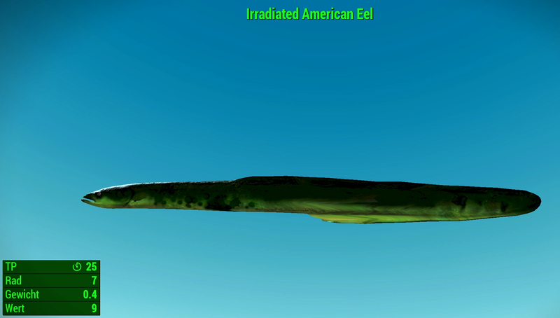 Datei:Fallout 4 MM Fischarten NW American Eel Irradiated.webp