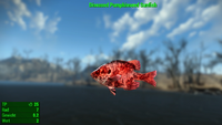 Fallout 4 MM Fischarten Pumpkinseed Sunfish Diseased.webp