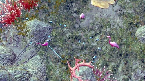 Wasserwelten (Korallen2).jpg