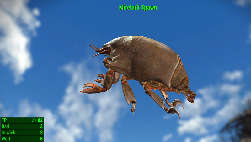 Datei:Fallout 4 MM Fischarten PL Mirelurk Spawn.webp
